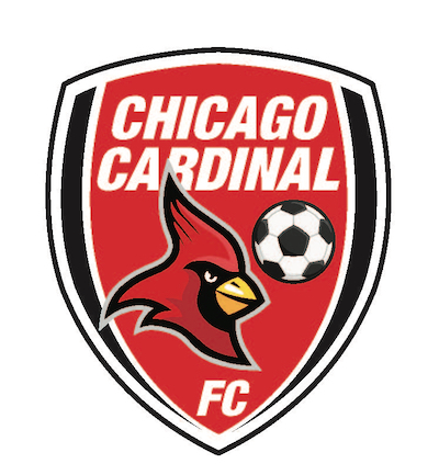 Chicago Cardinal Shield
