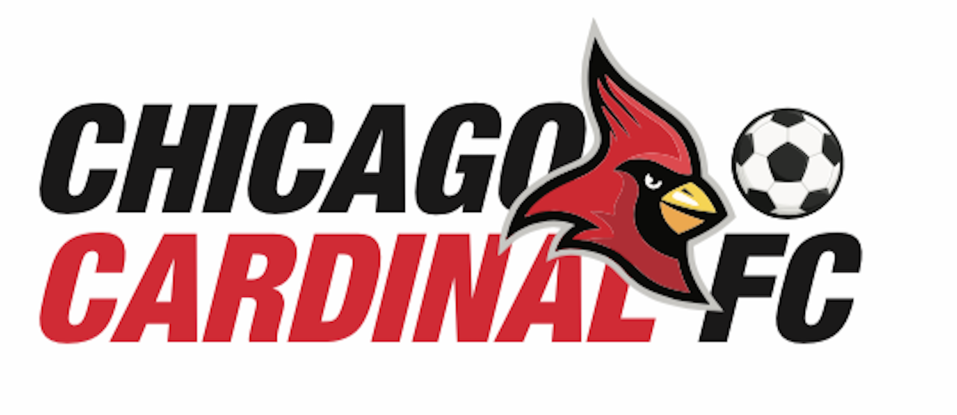 Cardinal FC Travel Soccer Program Chicago